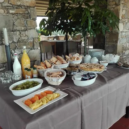 Govi بيت ضيافة